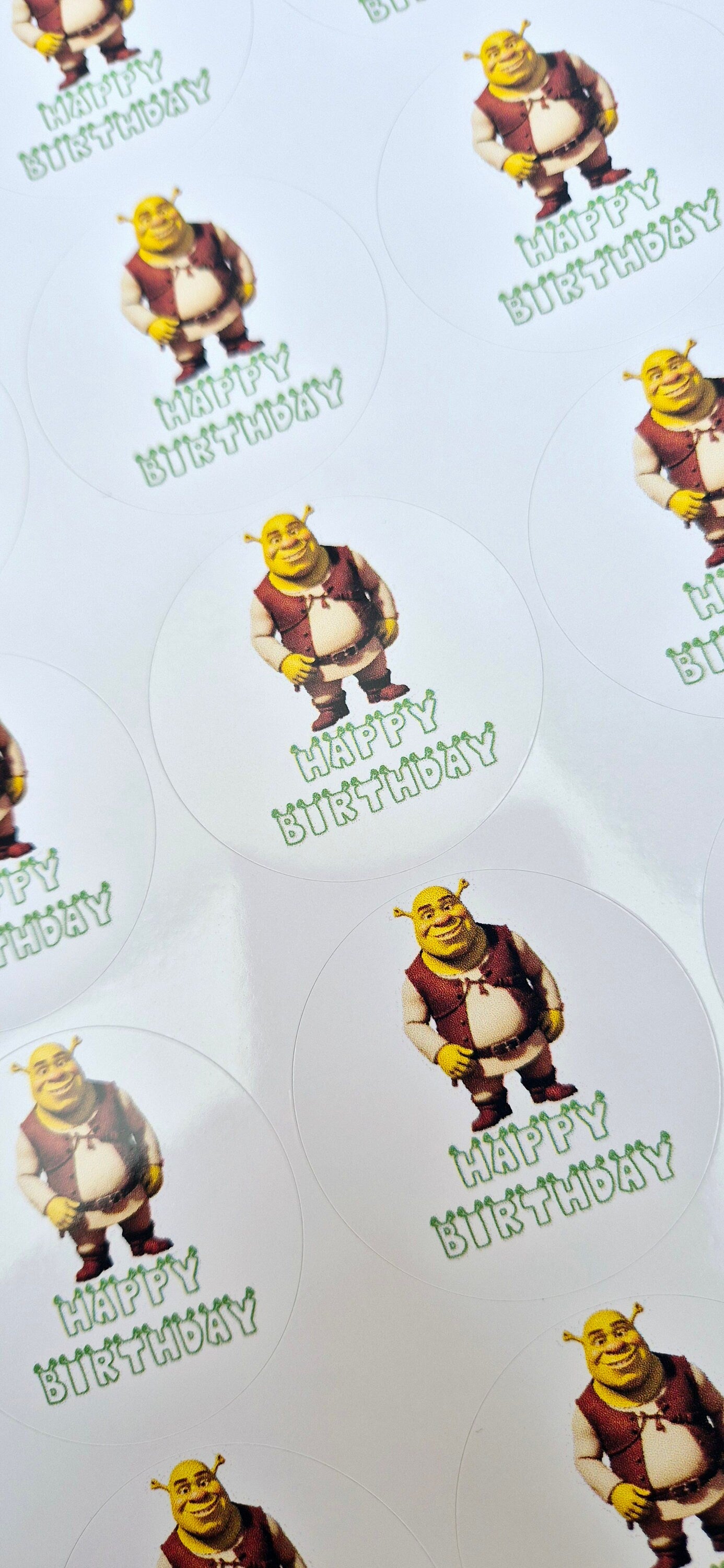 Shrek Birthday Stickers: Glossy Party Favor Labels (Set of 24)