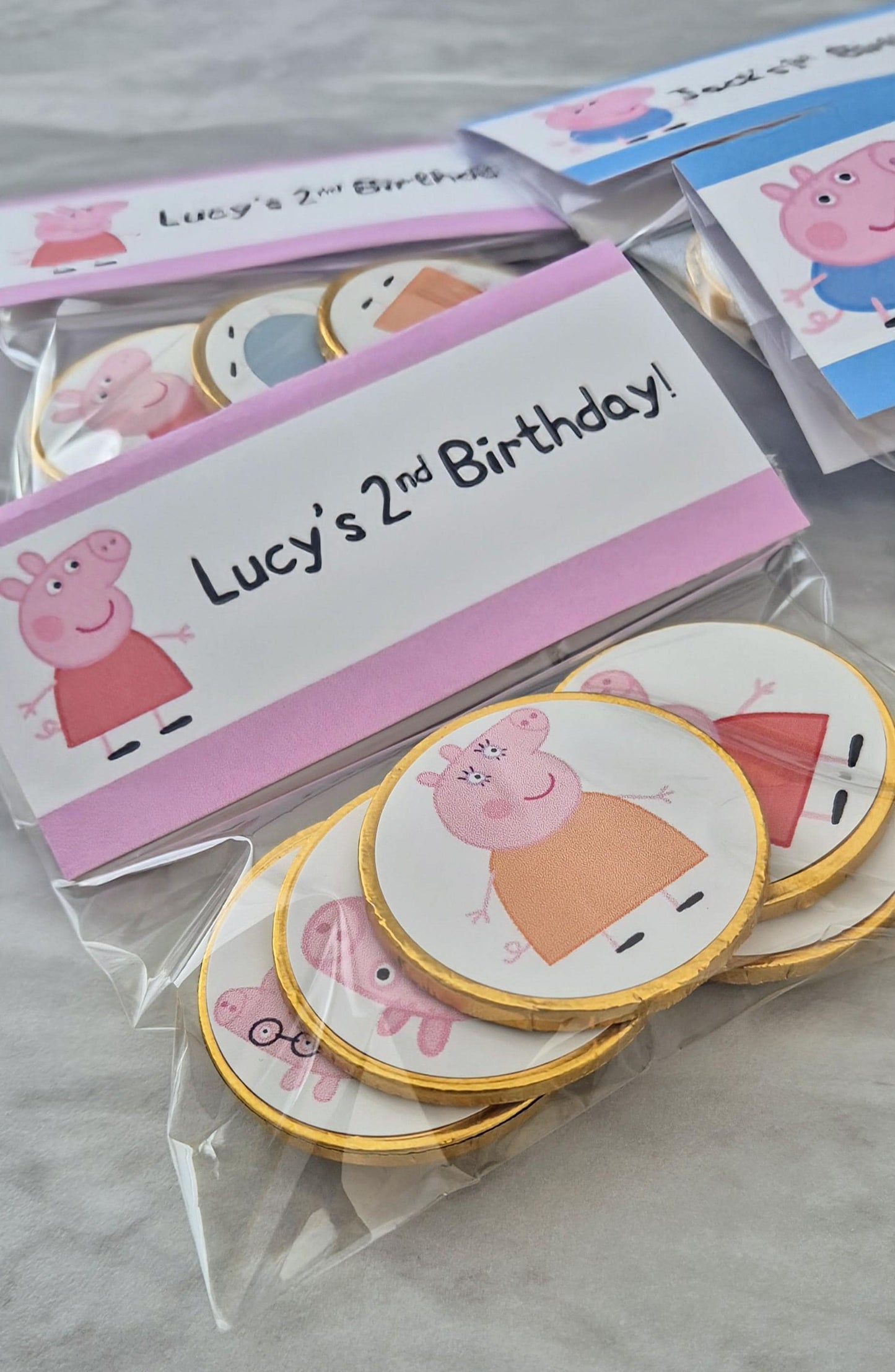 PIG inspired party favours - PIG inspired chocolate coin bags - Party favours