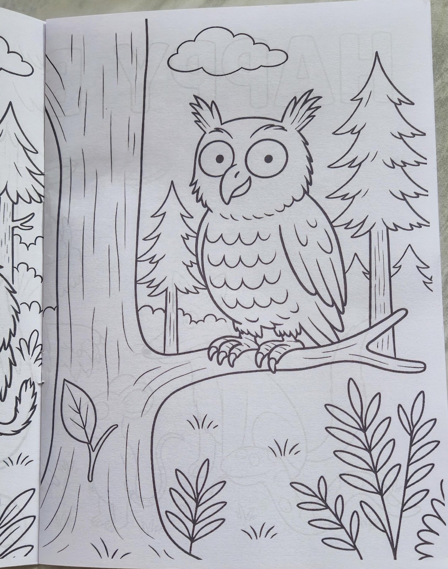 Gruffalo inspired personalised colouring book - Party favour - Kids Party