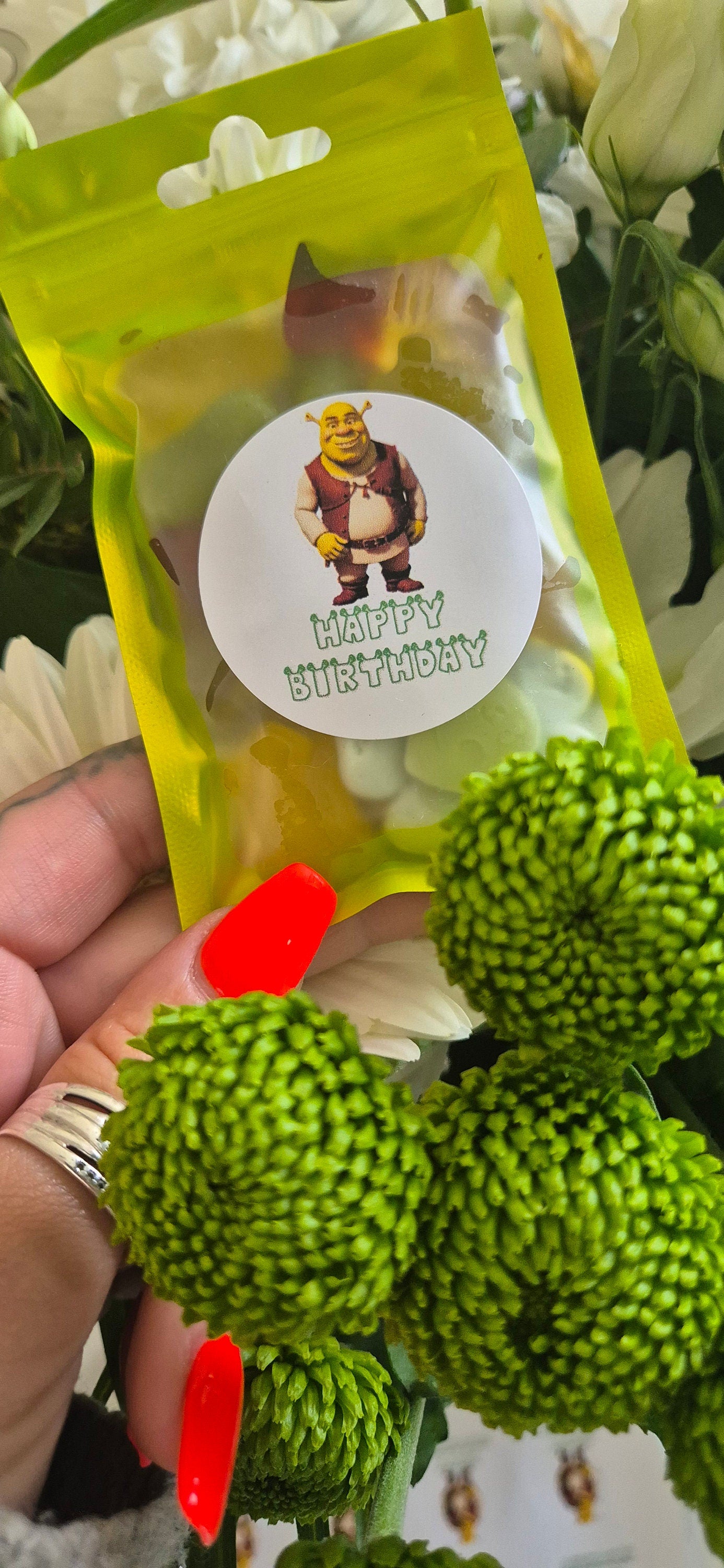 Shrek-Themed Party Favor Bags: Personalized Sweet Pouches