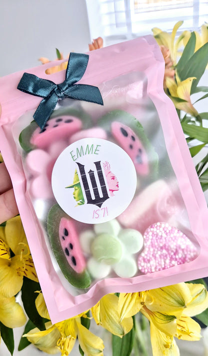 Wicked inspired - Large sweets pouches -party favours