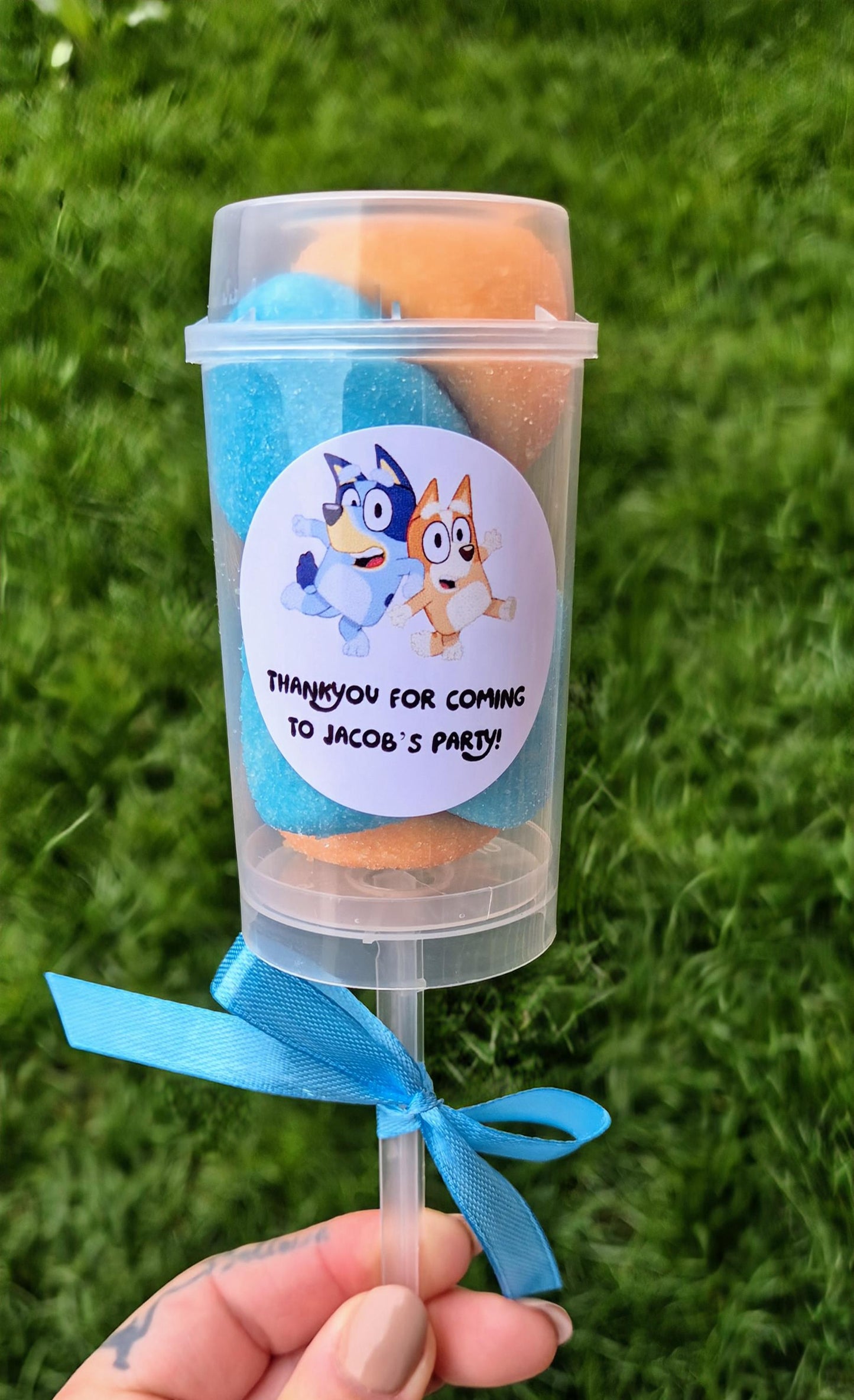 Bluey-Themed Sweet Push Pops: Personalized Party Favors