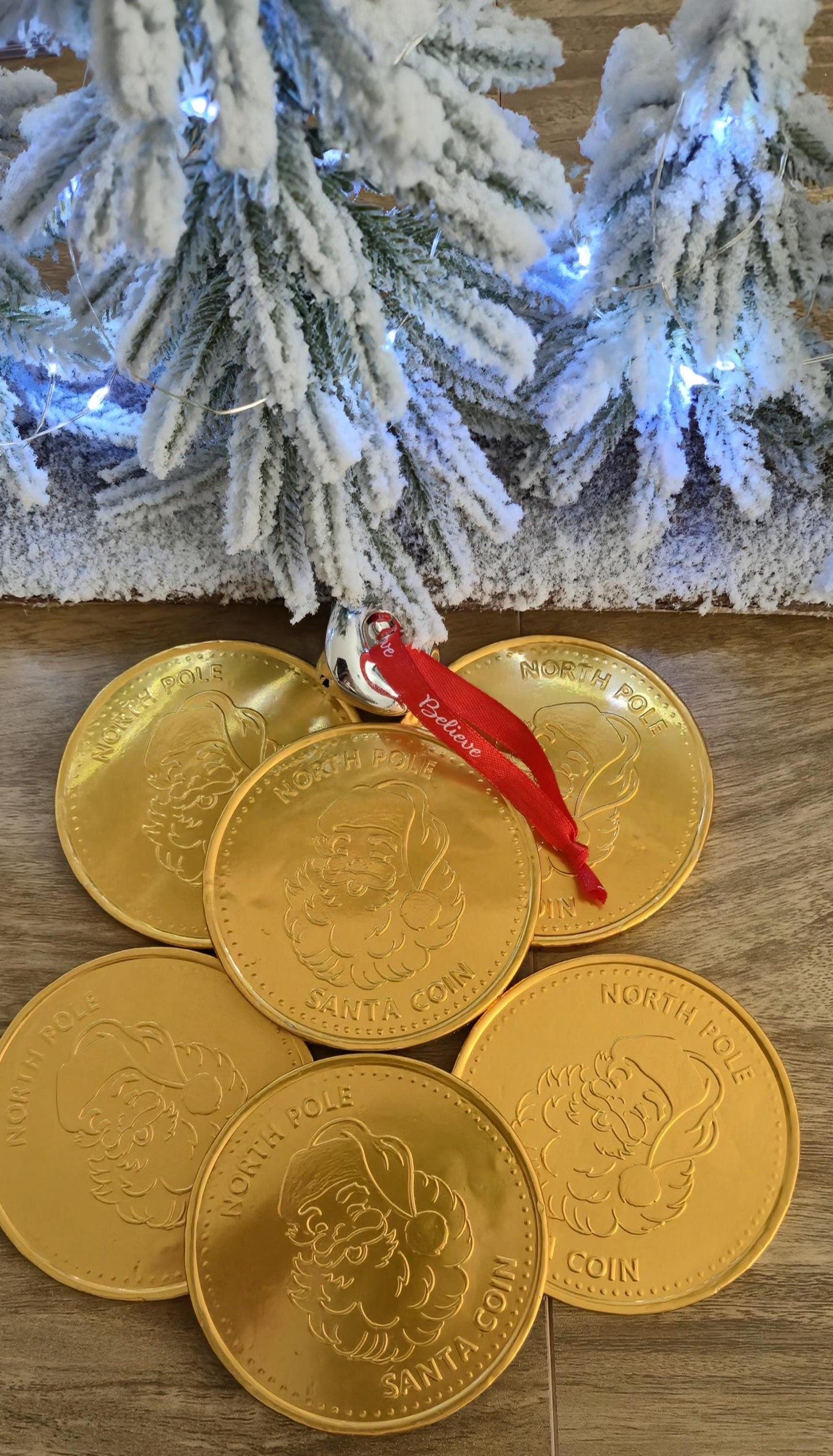 North Pole Chocolate Coins - Large Chocolate Coin - Santa Coin
