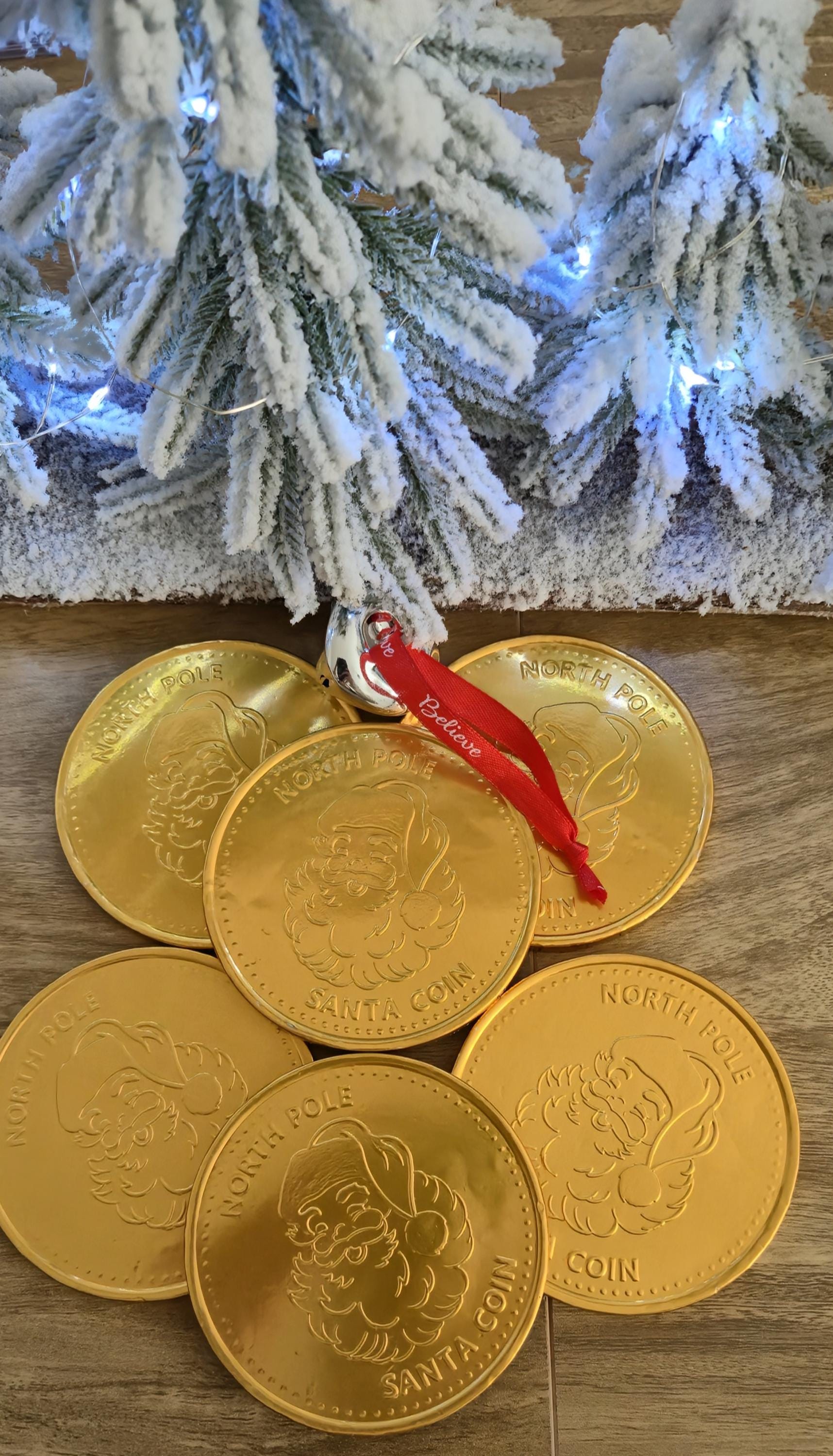 North Pole Chocolate Coins - Large Chocolate Coin - Santa Coin